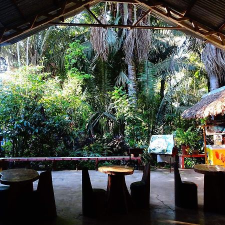 Villa Hermosa De Tambopata Casa Hospedaje & Hostel Puerto Maldonado Dış mekan fotoğraf