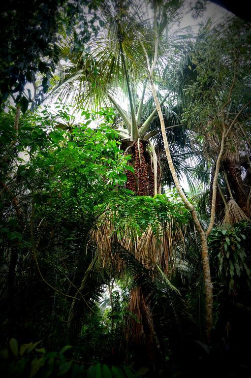 Villa Hermosa De Tambopata Casa Hospedaje & Hostel Puerto Maldonado Dış mekan fotoğraf