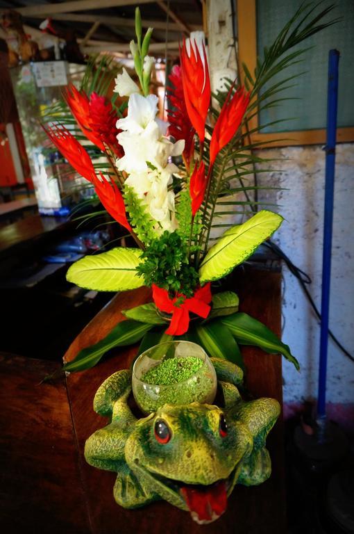 Villa Hermosa De Tambopata Casa Hospedaje & Hostel Puerto Maldonado Dış mekan fotoğraf