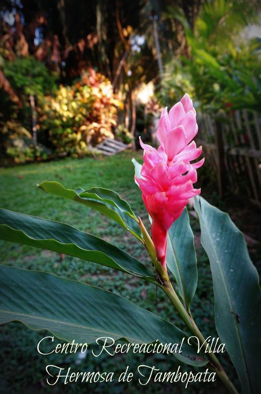 Villa Hermosa De Tambopata Casa Hospedaje & Hostel Puerto Maldonado Dış mekan fotoğraf