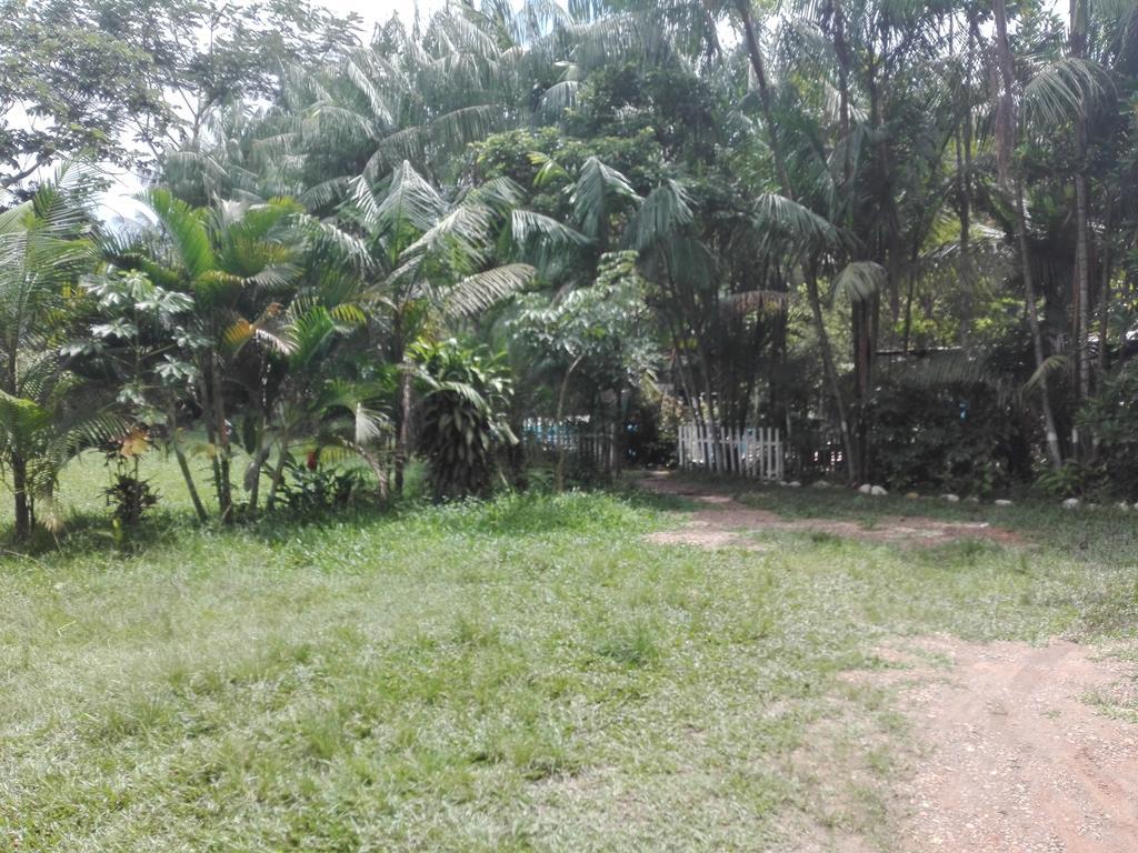 Villa Hermosa De Tambopata Casa Hospedaje & Hostel Puerto Maldonado Dış mekan fotoğraf