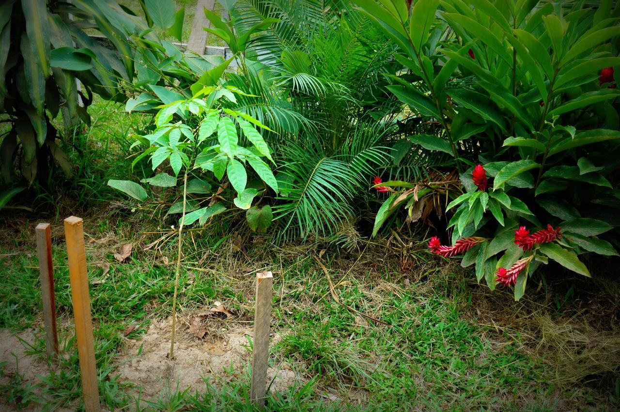 Villa Hermosa De Tambopata Casa Hospedaje & Hostel Puerto Maldonado Dış mekan fotoğraf