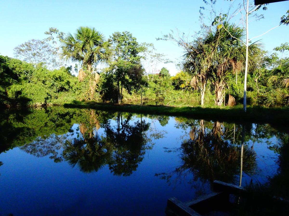 Villa Hermosa De Tambopata Casa Hospedaje & Hostel Puerto Maldonado Dış mekan fotoğraf